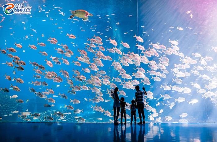 hilton garden inn zhuhai hengqin sumlodol park