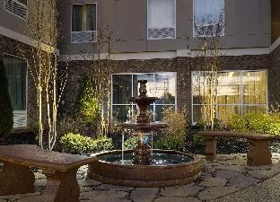 best western plus desoto