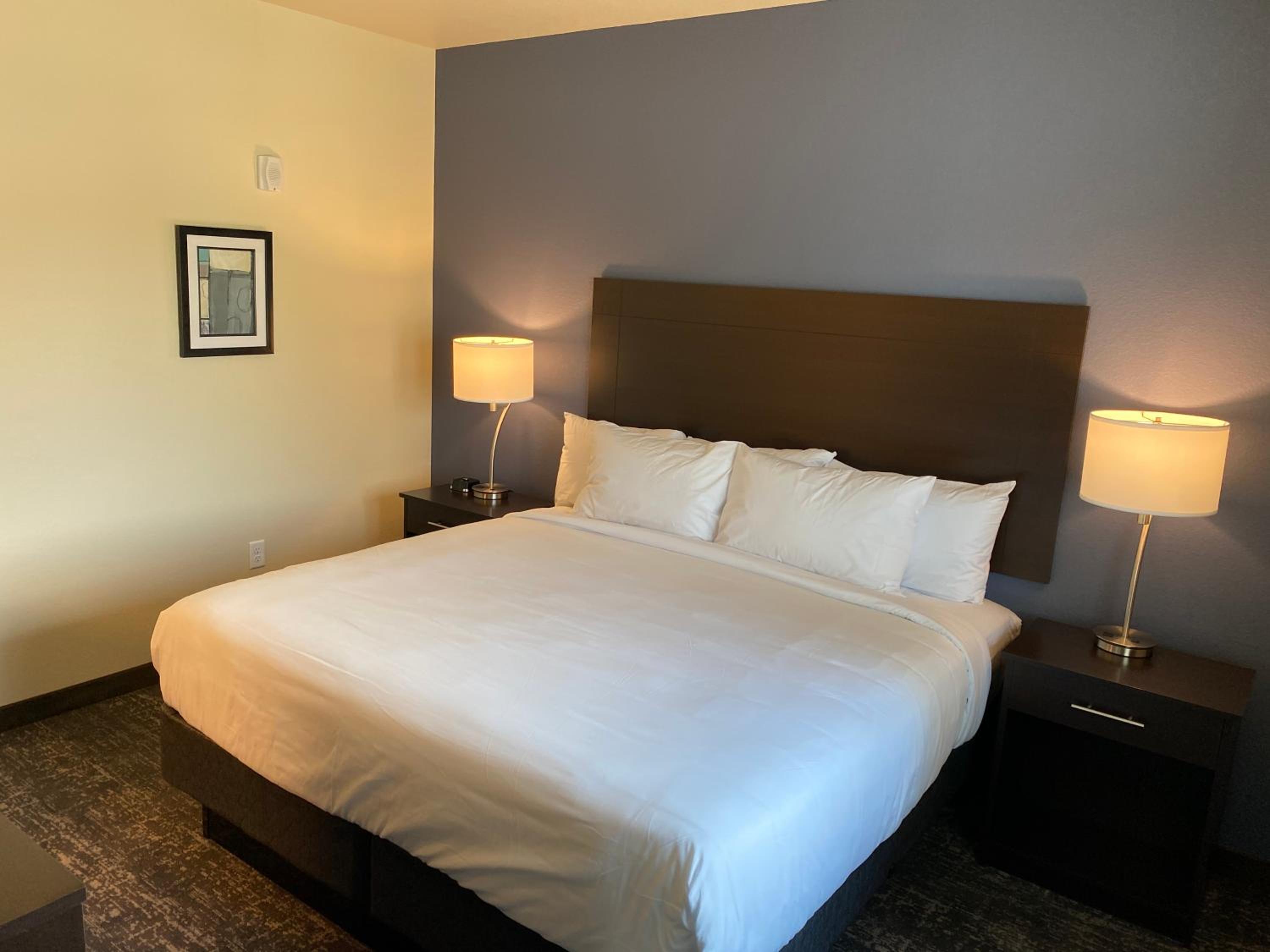cobblestone inn and suites forest city