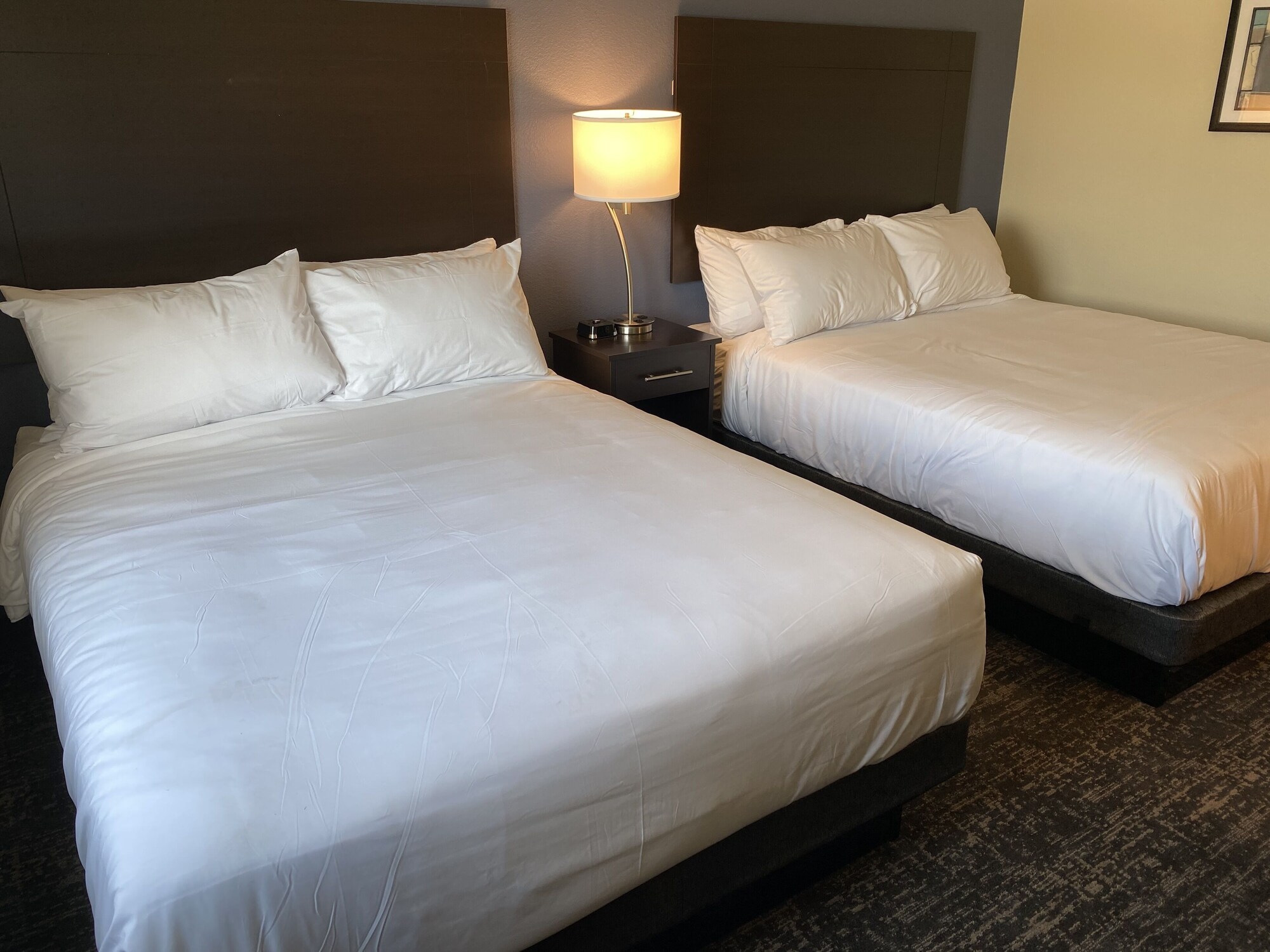cobblestone inn and suites forest city