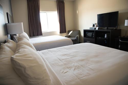 cobblestone inn and suites forest city