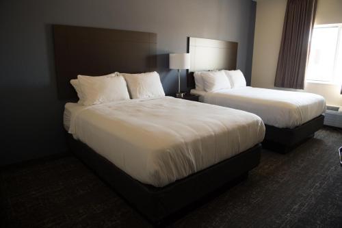 cobblestone inn and suites forest city