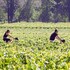 les sources de cheverny