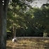 les sources de cheverny