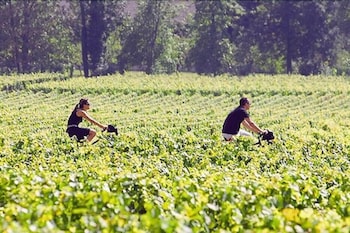 les sources de cheverny