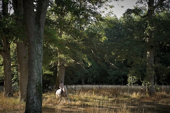 les sources de cheverny