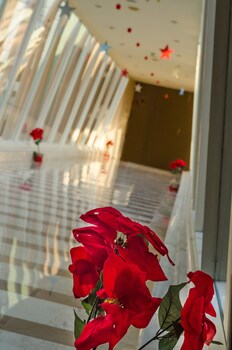 Hilton Alexandria Green Plaza,Sidi Jabir>>Alexandria,5 star