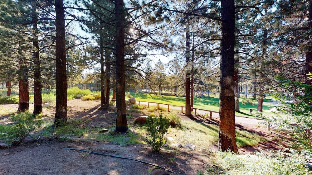 mammoth lakes