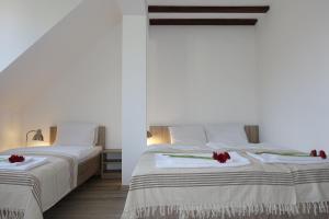 poduszka apartamenty zielony dom