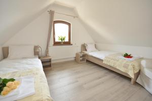 poduszka apartamenty zielony dom