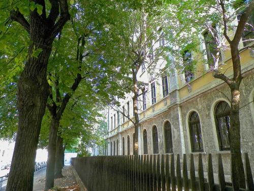 aiello suites executive