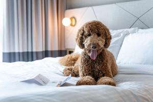 residence inn slough