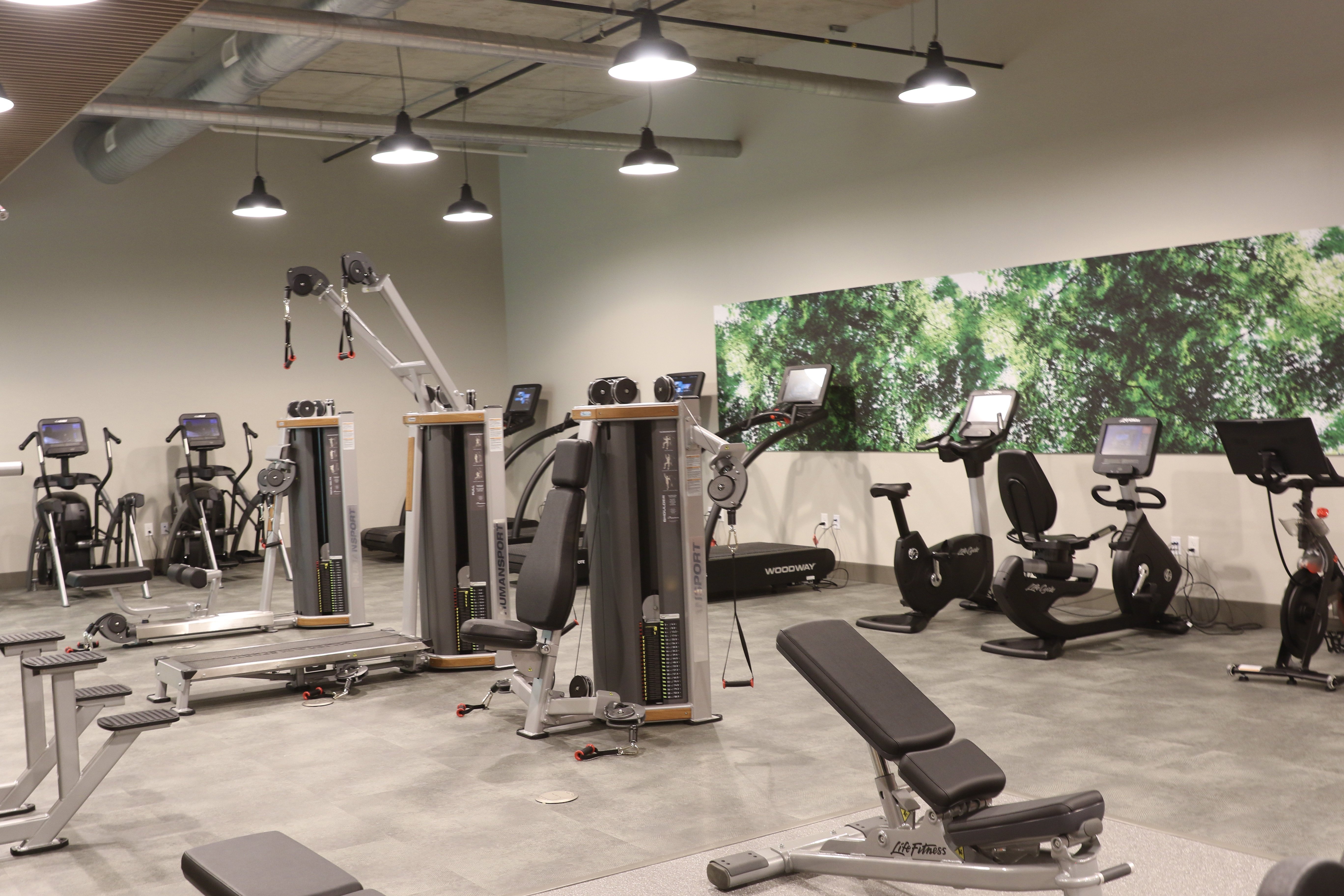 staybridge suites rochester mayo clinic area an ihg hotel