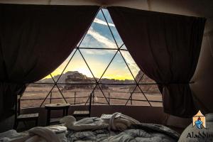 aladdin camp