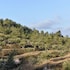alcoy