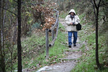 alcoy