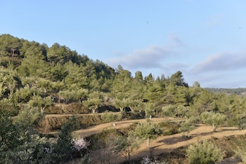 alcoy