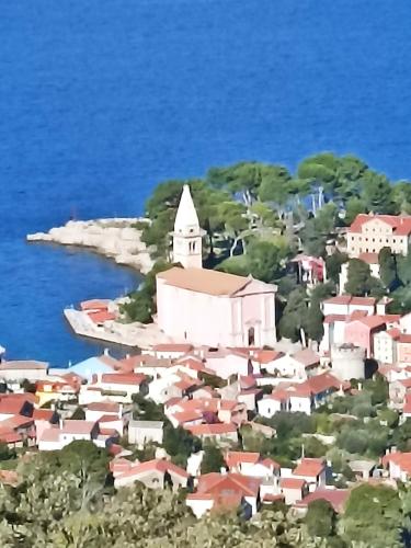 veli losinj