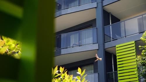 aparthotel adagio bale mulhouse aeroport