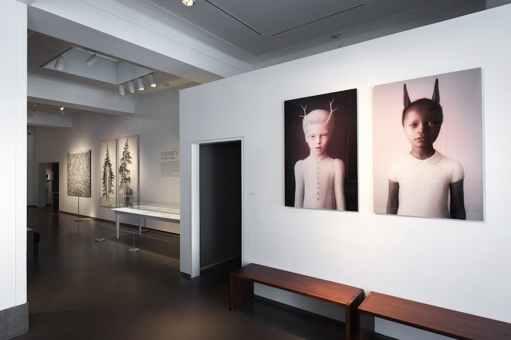 21c museum hotel cincinnati