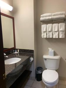 comfort inn