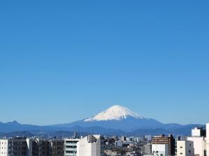 smile hotel shonan fujisawa