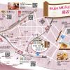 enjoy mt fuji a