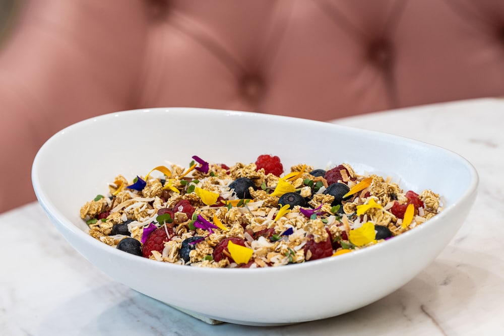 blossom hotel houston