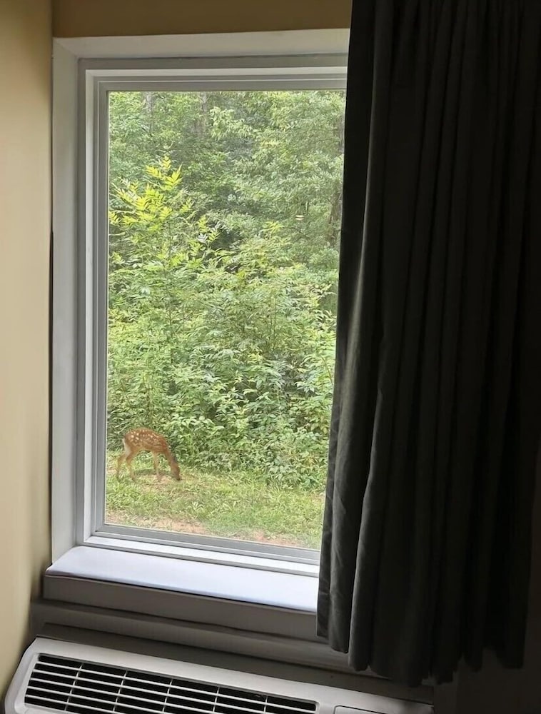 savannah suites atlanta airport