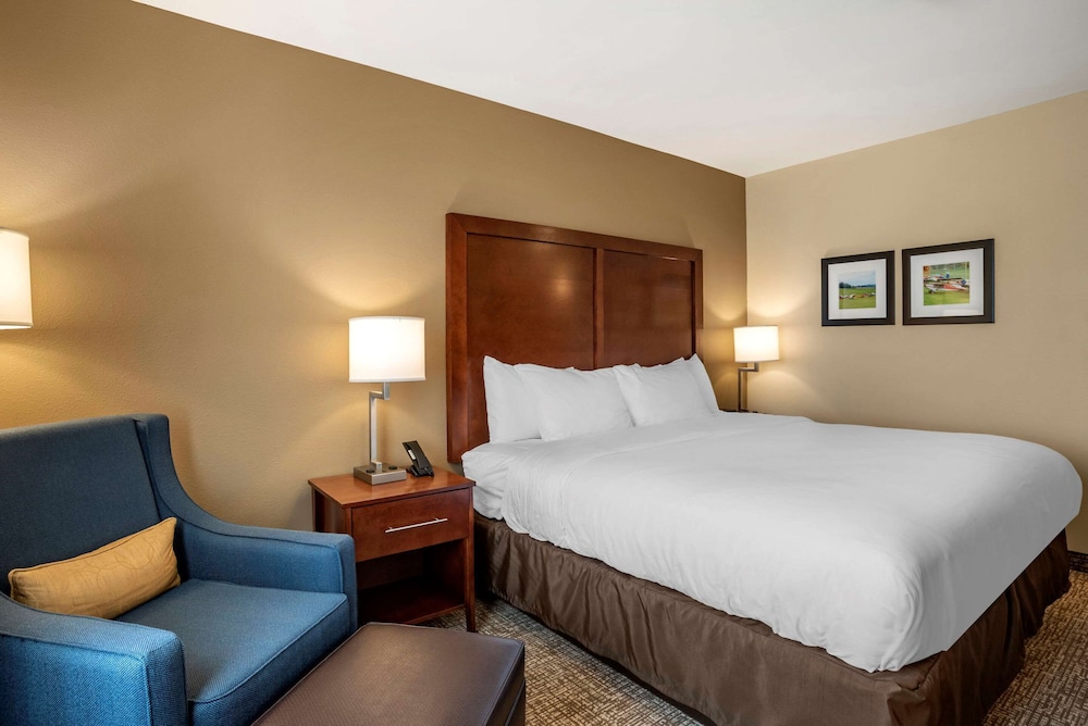 comfort inn and suites harrisonburg