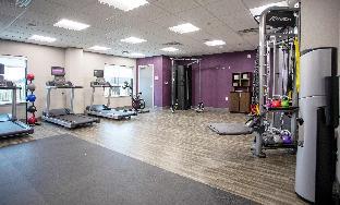 hampton inn lexington tn