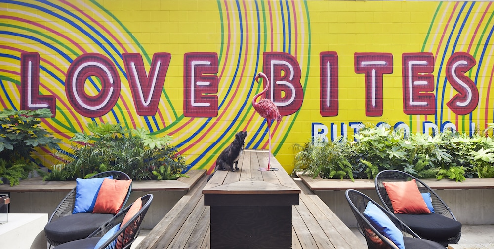 moxy austin university