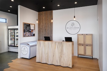 Zion Wildflower,Washington>>Virgin,2.5 star