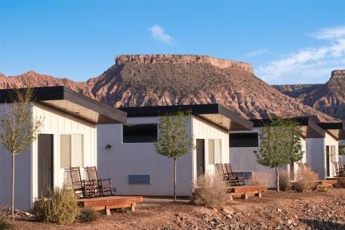 zion wildflower