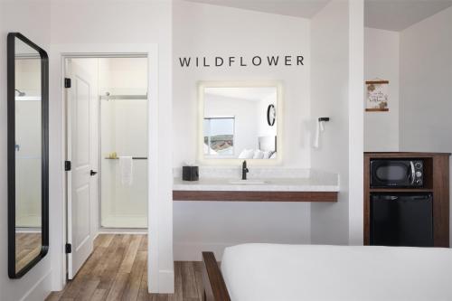 zion wildflower