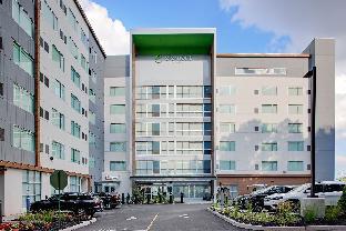 element new york wood ridge