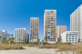 palms resort by hosteeva