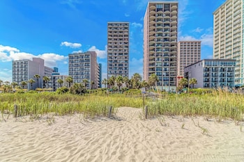 palms resort by hosteeva