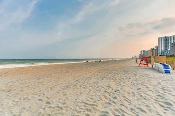 palms resort by hosteeva