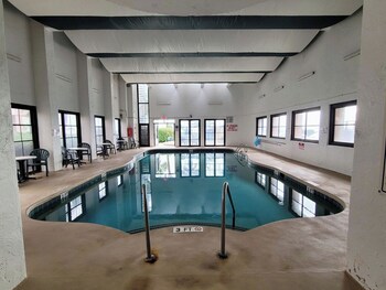 palms resort by hosteeva