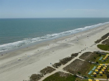 palms resort by hosteeva