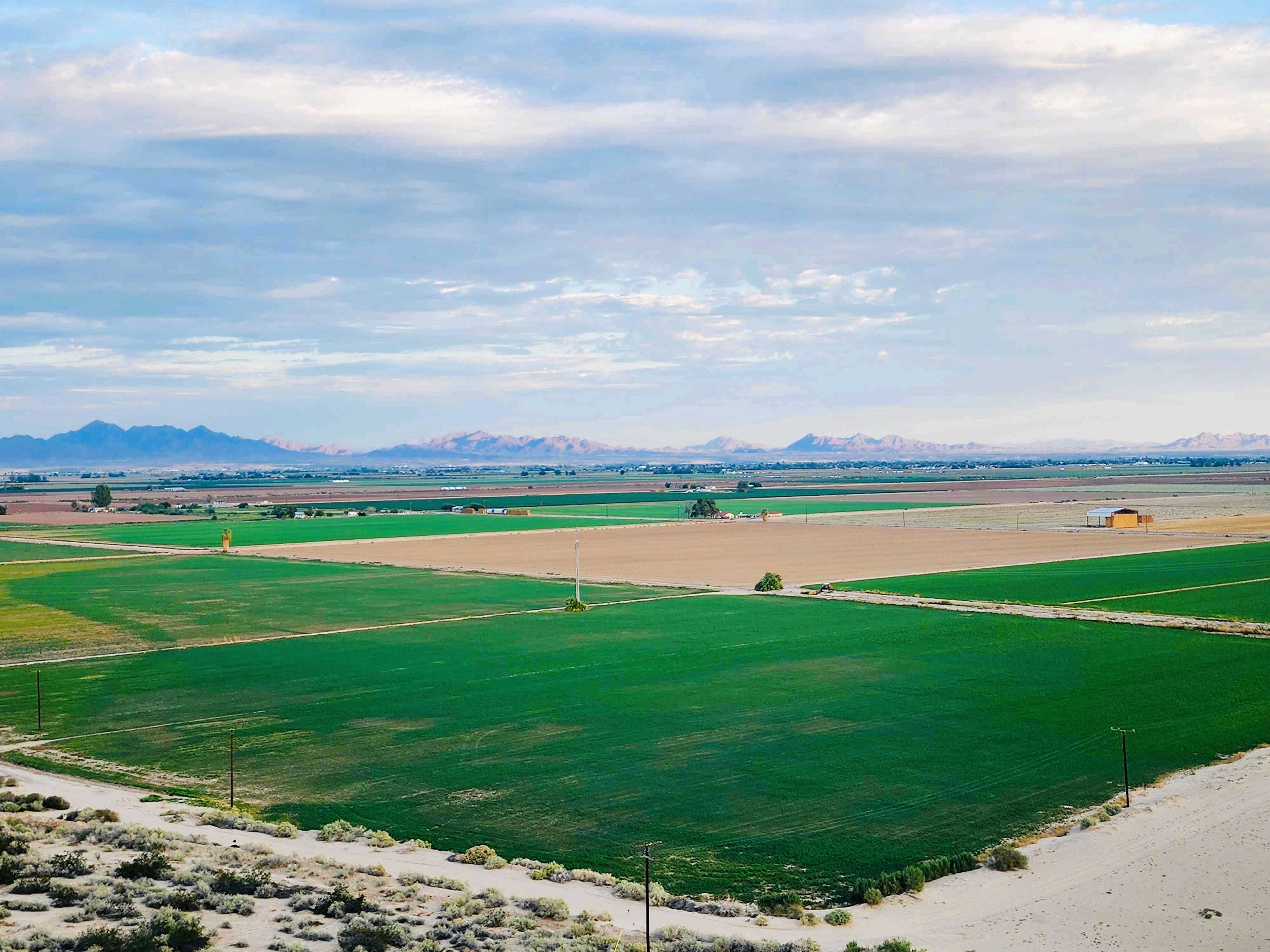 holiday inn express and suites blythe