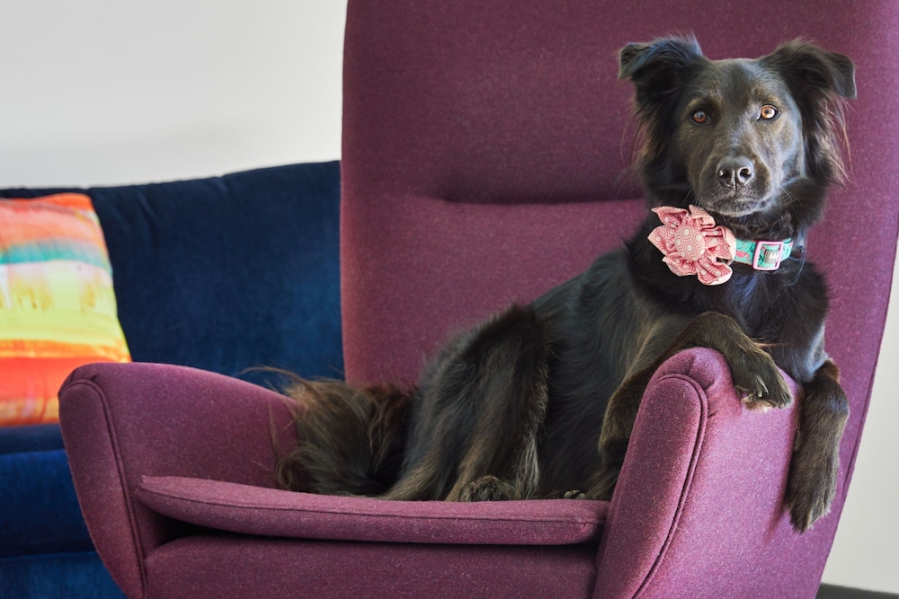 aloft wilmington at coastline center