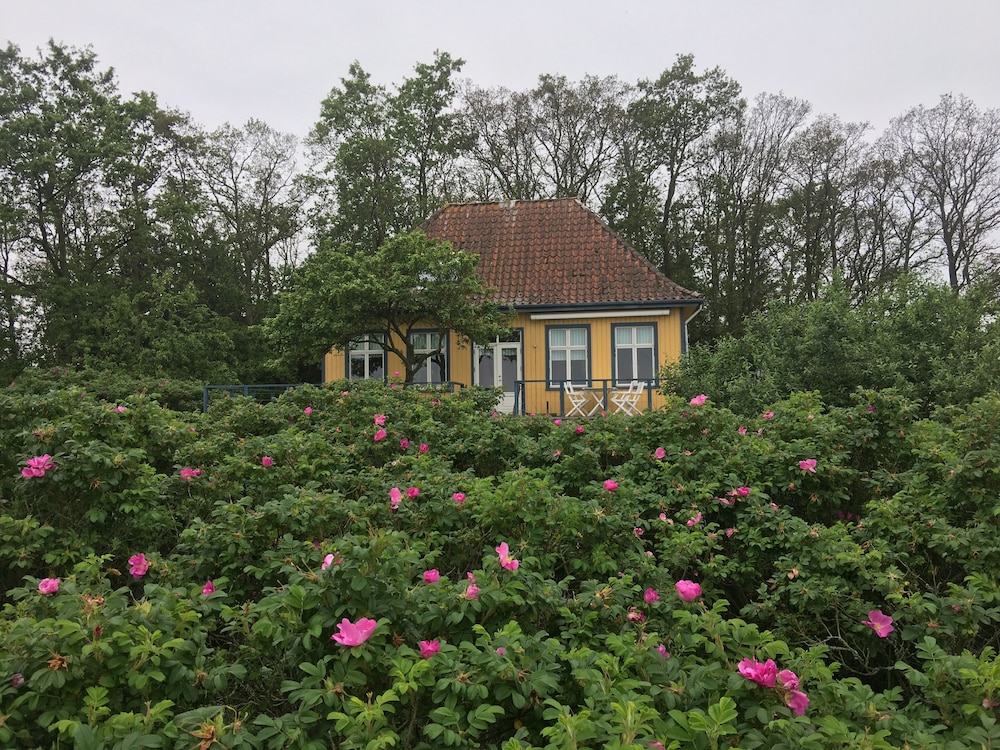 skaerven beachfront condos and cottage
