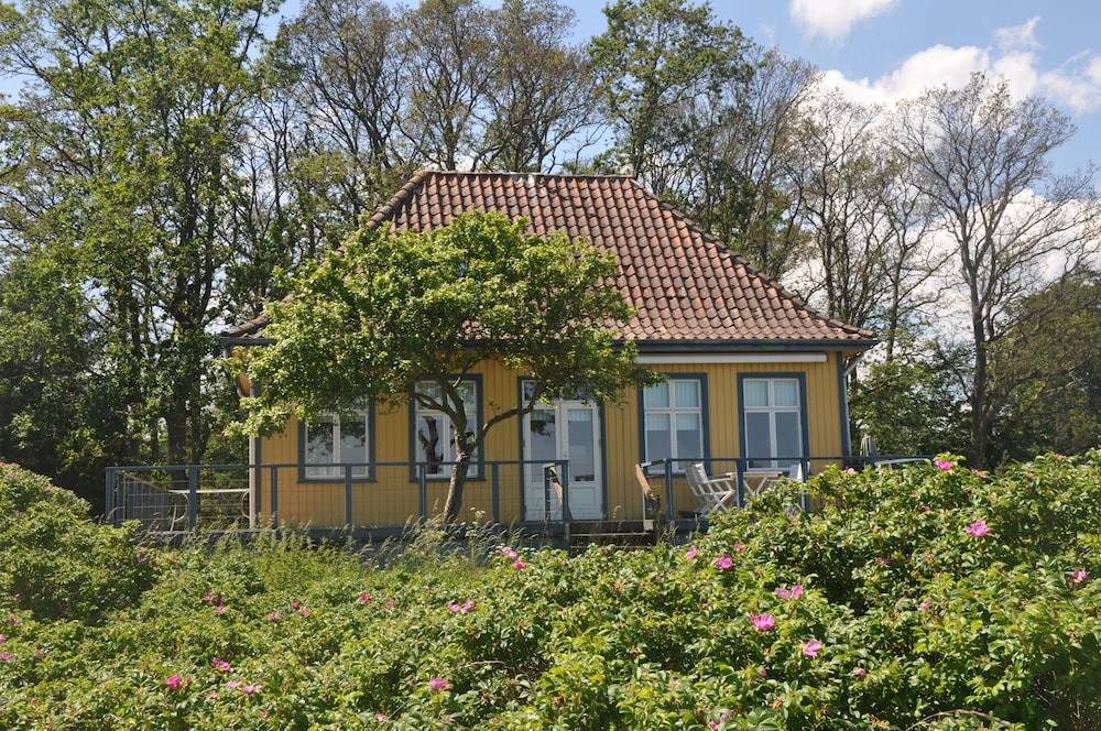 nyborg