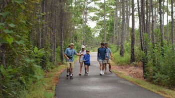 the cabins at gulf state park