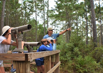 the cabins at gulf state park