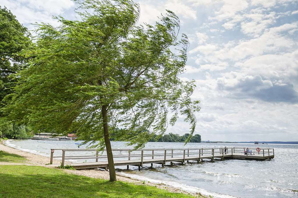 hotel ploener see by tulip inn