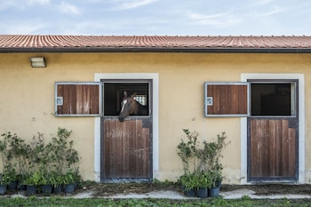 magliano in toscana
