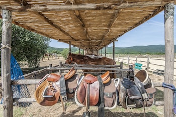 magliano in toscana